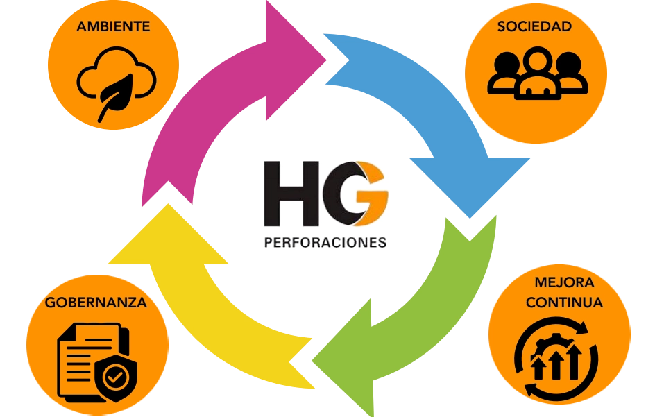 4 bases de hg